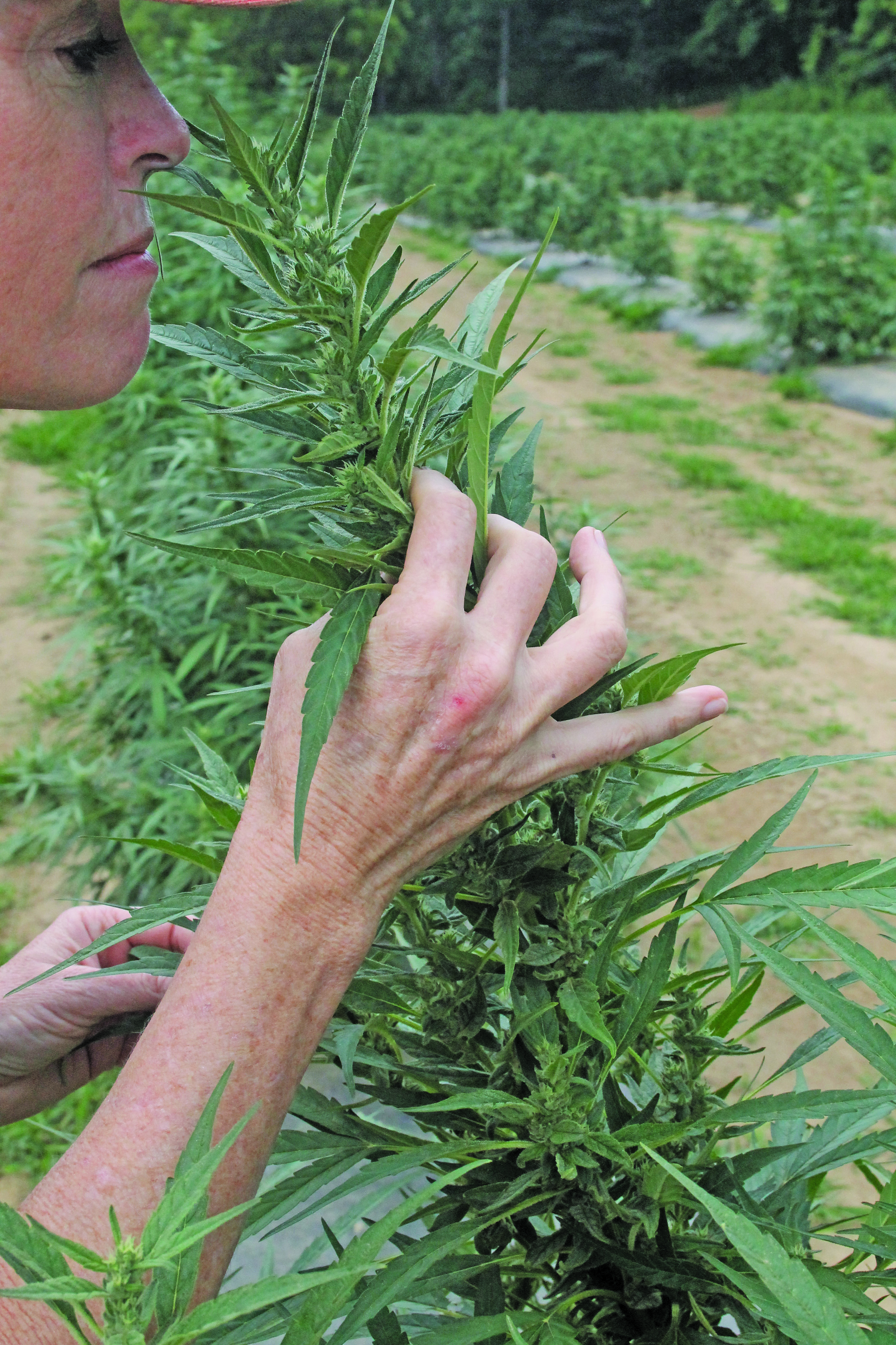 Lori Lacy smelling the flower. Photo by Christopher Lugo