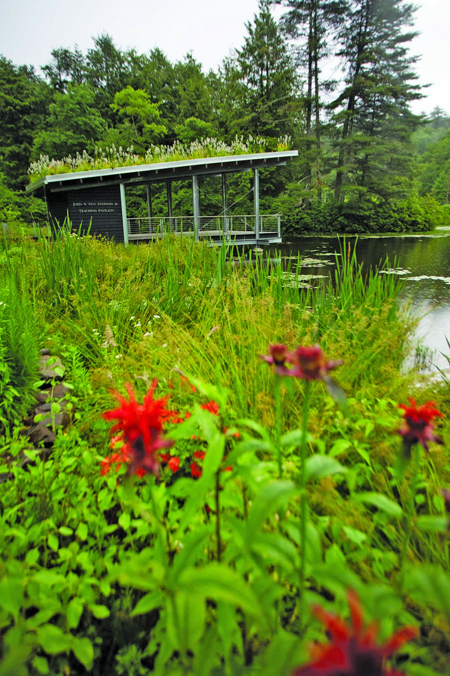 Photo by Dylan Lytle Highlands Biological Foundation Executive Director Charlotte Muir said the organization is ecstatic to host an event after a two year planning pause caused by the COVID-19 pandemic. 