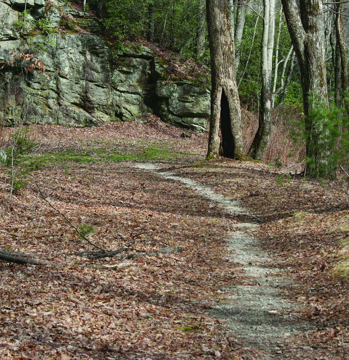 After years of planning, development, edits and revisions, the final draft of the Nantahala and Pisgah Forest Plan has been approved.