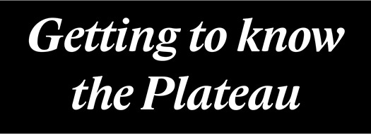 Getting to know the Plateau