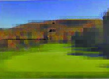 Image removed.