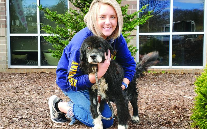 CHHS shelter manager Kaitlyn Moss plays with one of the 26 dogs rescued from a South Carolina residence on Friday, Jan. 17.