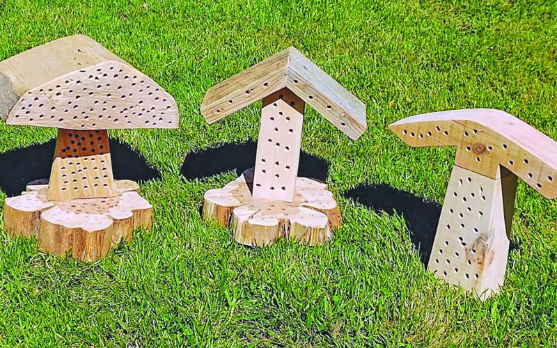 Kris and Dale Maree found out about the carpenter beehives by watching YouTube videos online and decided to begin building their own.