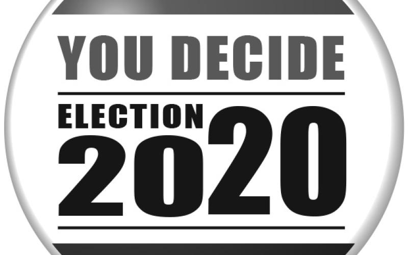 Early voting has been busy during the second Republican primary for US House District NC 11.
