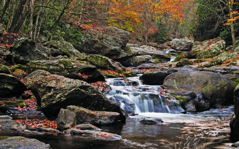 After years of taking photos in and around the Cullasaja River, photographer Peter Ray decided to turn his collection of images into a book.