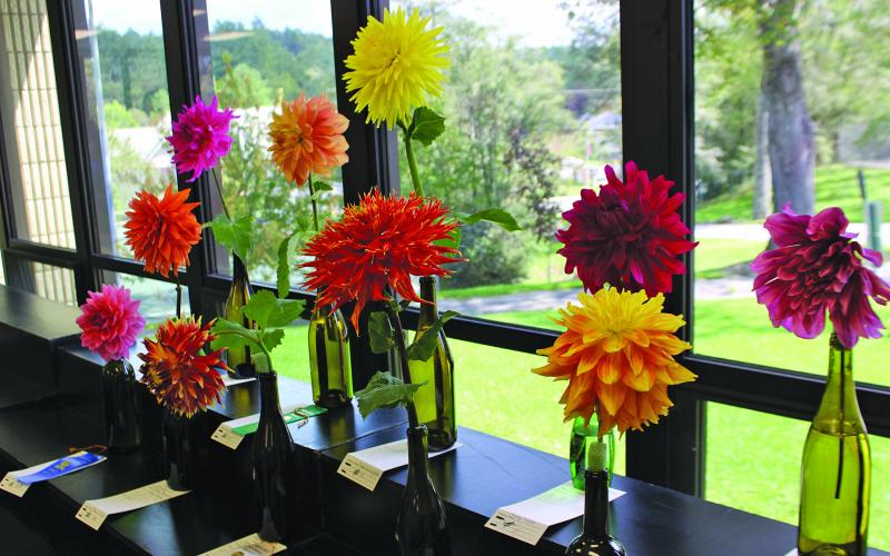 Planning for the 2020 Highlands Historical Society Dahlia Festival is underway.
