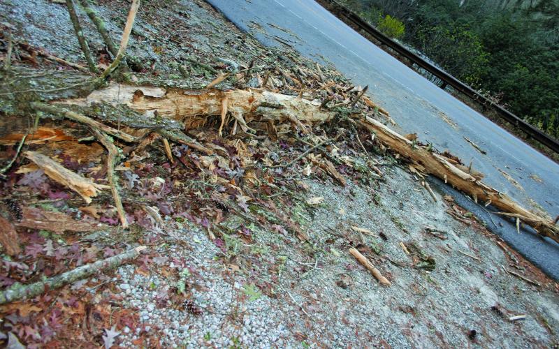 A tropical storm that moved through Highlands on Thursday knocked down several trees in its path. This tree was partially blocking US 64 until it was dragged out of the roadway by a passing motorist.