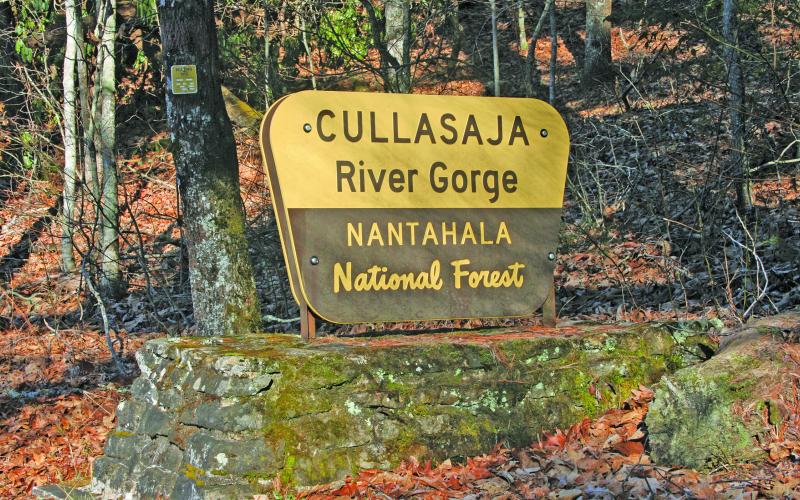 The US Forest Service is getting ready to begin the Southside Timber Project, which was approved in 2019.