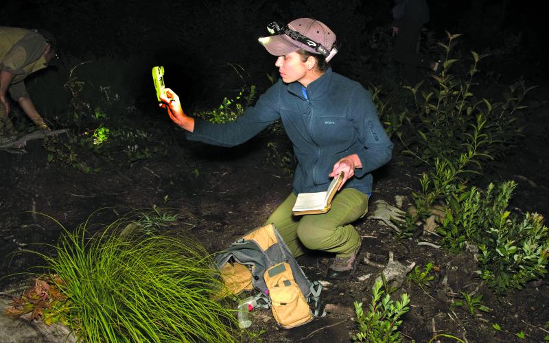 The Highlands Biological Station will begin a lecture series entitled “Climate Conversations” at 6 p.m. on Thursday via Zoom online.