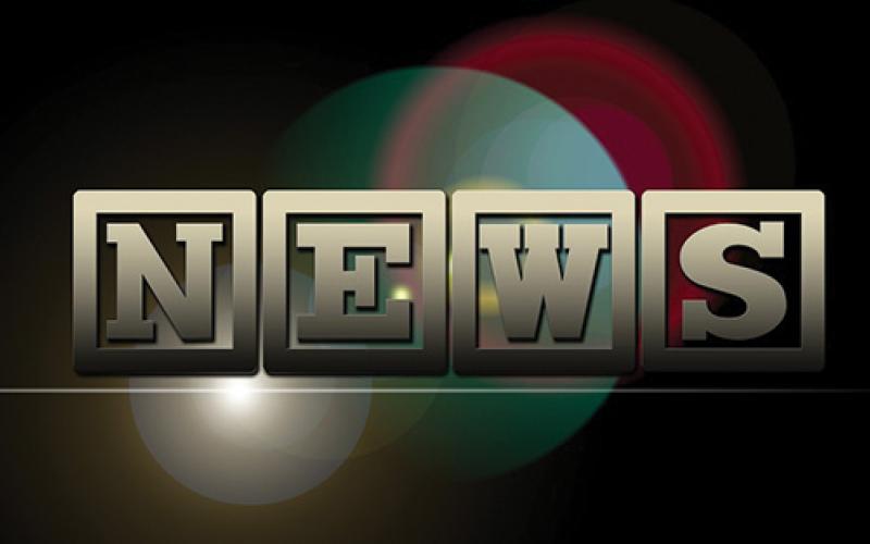 A recent encounter with a bear left a Highlands pet seriously injured.