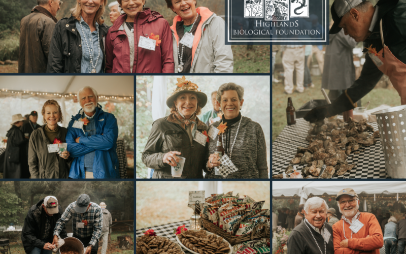 Submitted Photo Highlands on the Half-Shell is scheduled for Sunday, Oct. 3.