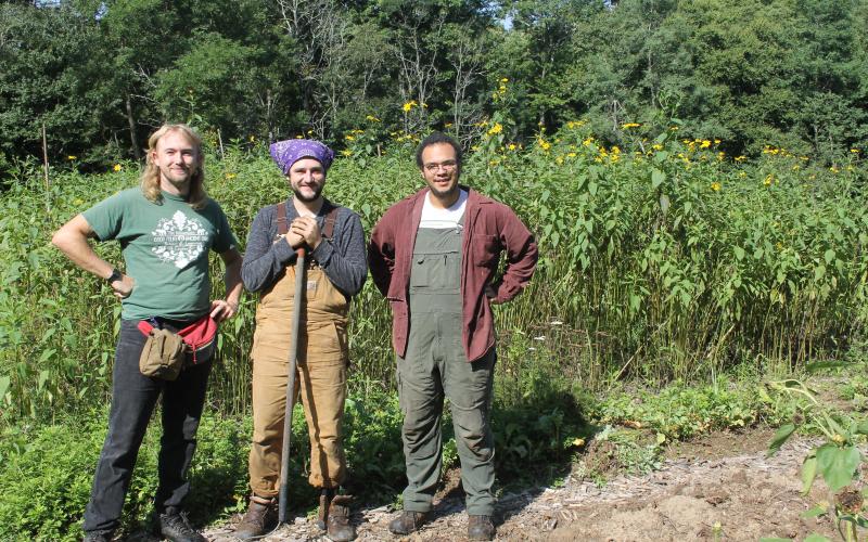 Photo by Christopher Smith/STaff Farm manager Joey Kyle with Tolvin Stiles and Cole Phelps at The Mountain.