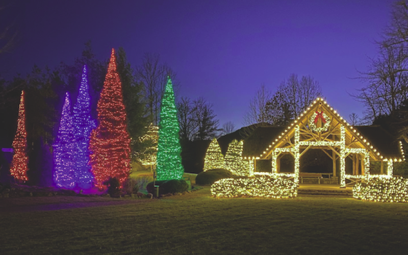 The Village Green lit up for Christmas.