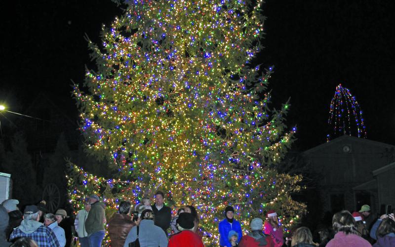 The Christmas Tree in Kelsey Hutchinson Founders Park.