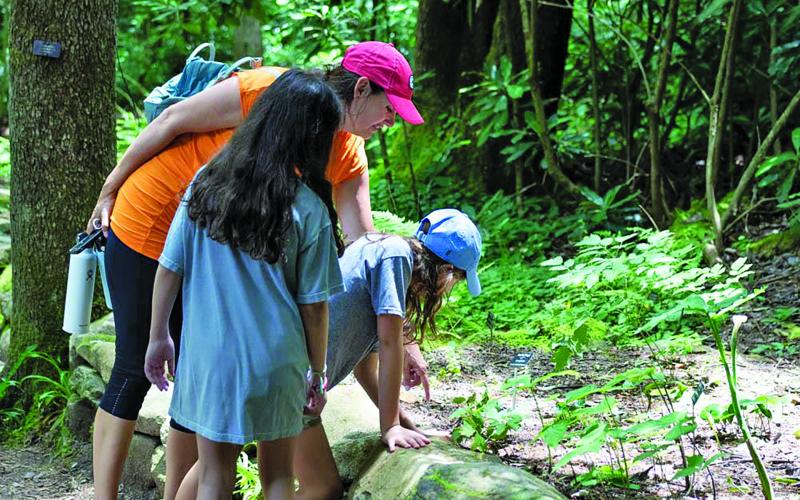 The Highlands Biological Station will host a Native Plant Symposium on Sept. 16-17, featuring a plant auction, lectures and garden tours.