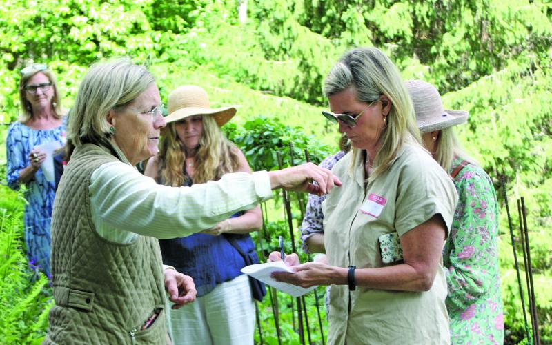 The Placemakers Academy is accepting registrations for the annual Winter Garden Design Immersion Workshop, which will begin on Jan. 19.