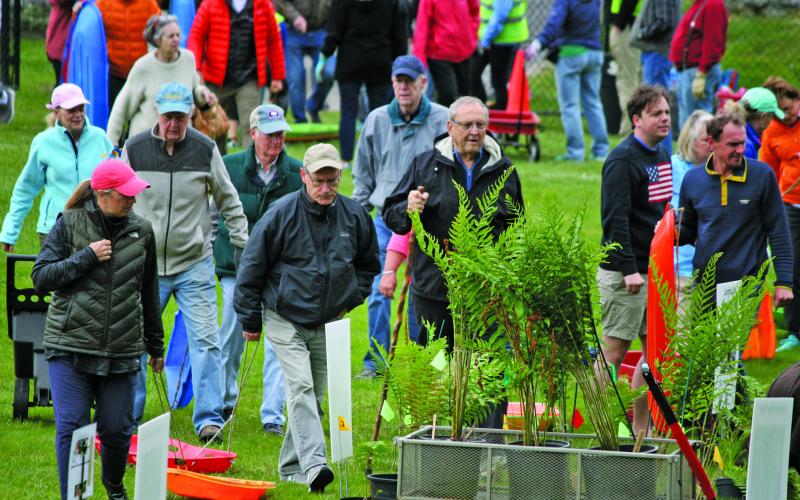 Hundreds of green thumbs flocked to the annual Mountain Garden Club plant sale on Saturday morning at the town baseball field.