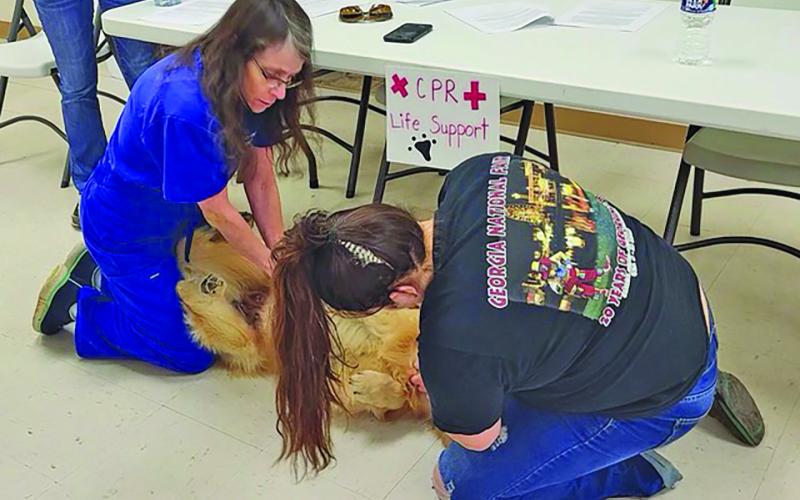 A pet CPR class will be offered at the Sky Valley-Scaly Mountain Volunteer Fire Department on Saturday, Aug. 19.