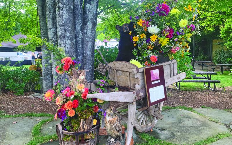 The Dazzling Dahlia Festival will take place Sept. 7 and Sept. 9 at locations around town including the Highlands Historical Village.