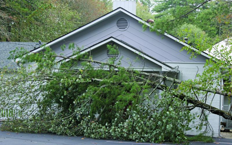 Highlands Assembly of God on 6th Street narrowly missed a big impact as two trees fell across its entryway, but didn’t cause any major damage to the building itself during Hurricane Helene on Friday.