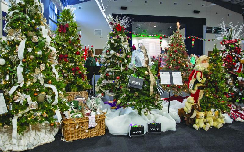 The Festival of Trees at Summit Charter School has become a holiday highlight drawing visitors from across Western North Carolina.