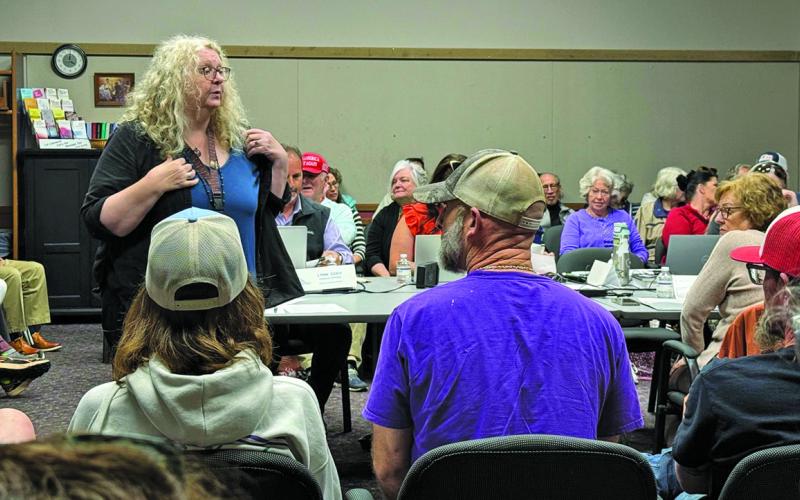 Tracy Fitzmaurice addresses the crowd at Albert Carlton Cashiers Library during a Fontana Regional Library  board of trustees meeting on Tuesday night.