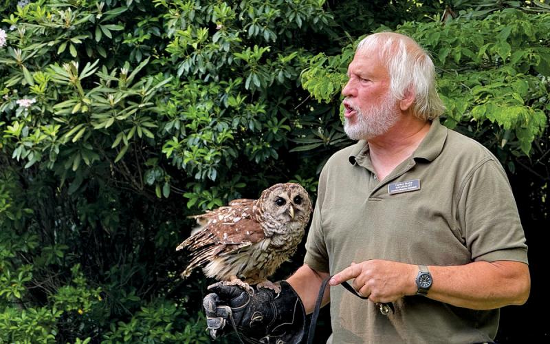 Carlton Burke showcases a Barred Owl to the audience.