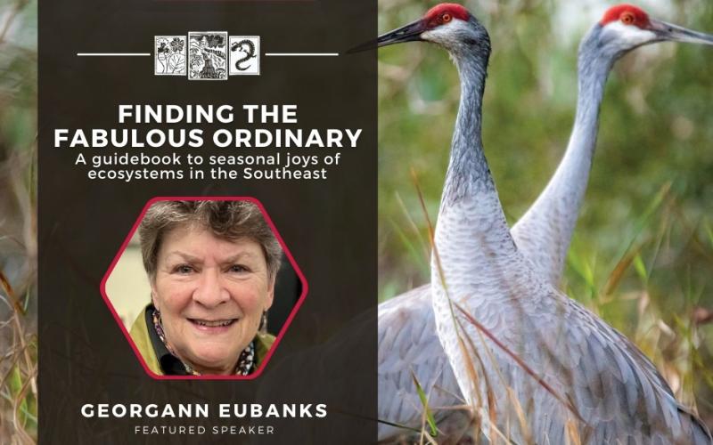 Georgann Eubanks will present the eighth lecture of the Zahner Series on Thursday, Aug. 7 at 6 p.m.