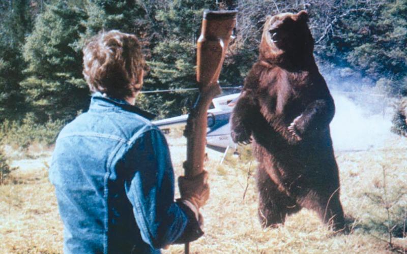 Film Fest: A Grizzly Scene