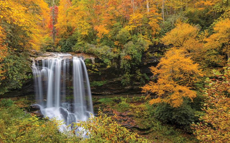 Photo by Eric Haggart  |  Highlands is expecting a strong leaf season as tourism continues to rebound from Hurricane Helene. Dry Falls puts on a spectacular color show for visitors and residents traveling Highway 64 East