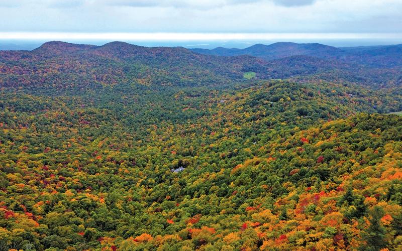HCLT protects over 100 acres