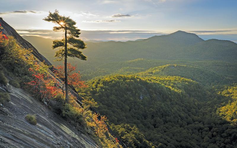 Over 100 acres on Whiteside Mountain have been preserved for future generations to enjoy.  |  Photo courtesy of Highlands-Cashiers Land Trust