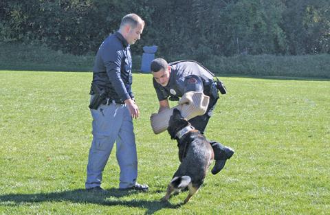 K-9 Hope puts the clamps on officer Tim Broughton during a demonstration.