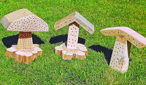 Kris and Dale Maree found out about the carpenter beehives by watching YouTube videos online and decided to begin building their own.