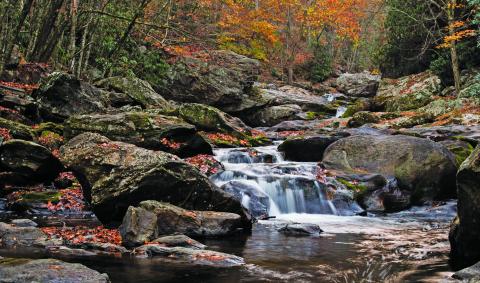 After years of taking photos in and around the Cullasaja River, photographer Peter Ray decided to turn his collection of images into a book.