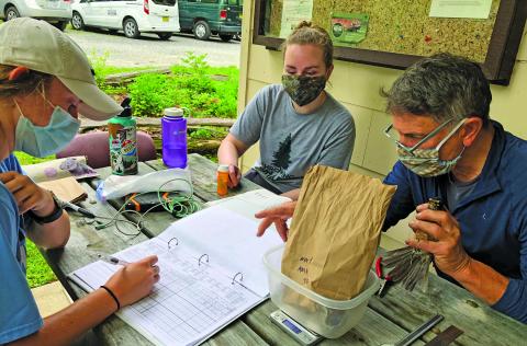 Researchers working at the Highlands Biological Station worked to band several species of birds so they can be identified, tracked and studied.