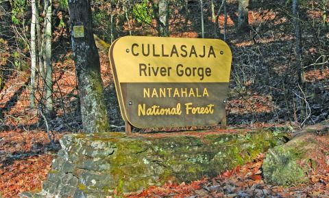 The US Forest Service is getting ready to begin the Southside Timber Project, which was approved in 2019.