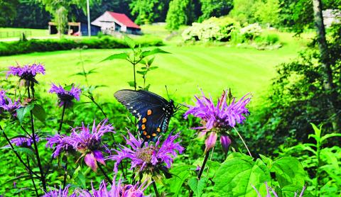 The Village Nature Series will get underway on Tuesday, April 27 when presenter Sonya Carpenter covers the topic “Nurturing life in your backyard – Choices within our control.” Anyone wishing to view the presentation should register by emailing director@cashiersgreen.com.