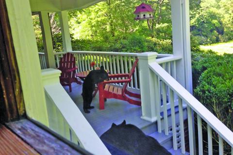 With temperatures on the rise, black bears are leaving their dens in search of easy meals. There will be a BearWise program at 5 p.m. on Sunday, May 2 via Zoom to educate the public on coexisting with bears.