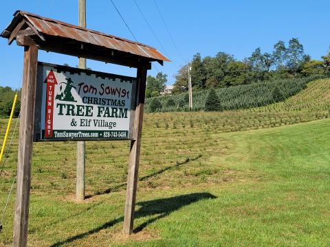 Photo by Michael O’Hearn/Crossroads Chronicle Tom Sawyer’s Christmas Tree Farm and Elf Village, located at 240 Chimney Pond Road, announced on social media on Sept. 9 that they will not be open this year.
