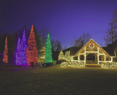 The Village Green lit up for Christmas. 