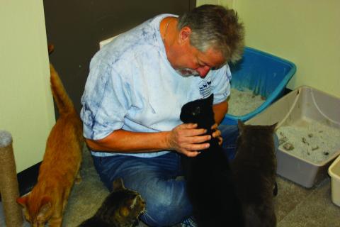 Photo by Kaylee Cook/Staff CHHS executive director David Stroud pets a shelter cat. 