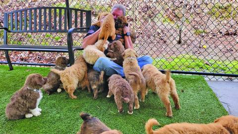 Submitted Photo CHHS executive director David Stroud being bombarded by puppies after a rescue in South Carolina. 