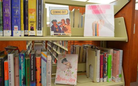 The display pictured above is in the main section of the library and there is a similar one in the teen section.