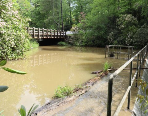 Submitted Photo A photo of sedimenation in Jewel Lake. 