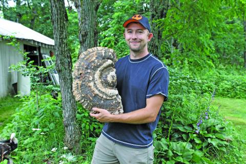 Photo by Christopher Lugo/Staff The Mountain Retreat and Learning Center’s farm manager Joey Kyle will give a lecture on foraging for wild foods Tuesday, July 12, at The Mountain. 