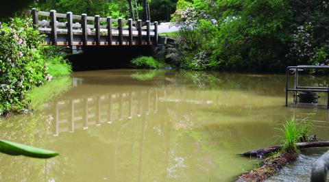 The Chattooga Conservancy and High Hampton have settled a lawsuit related to run-off and erosion on the High Hampton property.