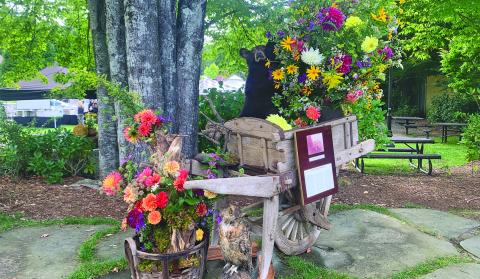 The Dazzling Dahlia Festival will take place Sept. 7 and Sept. 9 at locations around town including the Highlands Historical Village.