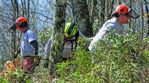 Members of Team Rubicon clear branches and brush away from buildings at The Mountain Retreat and Learning Center during a coordinated volunteer effort that spanned eight days from March 10-17.