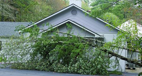 Highlands Assembly of God on 6th Street narrowly missed a big impact as two trees fell across its entryway, but didn’t cause any major damage to the building itself during Hurricane Helene on Friday.